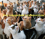 На выборы губернатора Астраханской области заявился 13-й кандидат