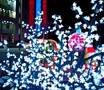 Главная новогодняя елка в этом году разместится в сквере Ульяновых