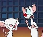 Грабители Кепка и Приспешник на самом деле оказались сотрудниками Кировской администрации