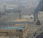 Фото дня: опасные птицы захватили астраханский порт