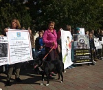Заступники собак: чего добиваются астраханские зоозащитники