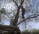 В Астрахани спасатели спустили с дерева неадекватного мужчину