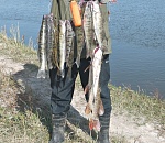 Астраханское экспертное сообщество: суточную норму на вылов рыбы нужно увеличить с 5 до 10 кг