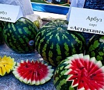В Астрахани может появиться новый арт-объект – арбуз