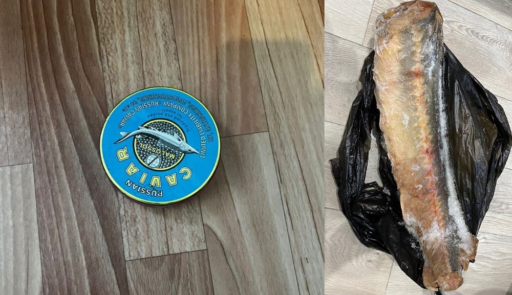 Три астраханца сядут на скамью подсудимых за торговлю чёрной икрой 