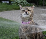 Завтра астраханцам умирать от жары не придётся