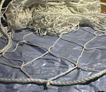 В Астраханской области задержали очередного браконьера