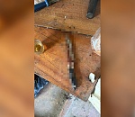 Астраханец поплатился жизнью в споре, кому идти за бутылкой