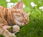 В Астрахани продолжается борьба лета с осенью