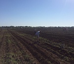 Астраханцам снова дали возможность накормить себя самих