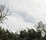 На Астраханскую область движется ураган