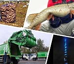 Астрахань. Итоги октября-2025. Квадратные метры и щучья икра соревнуются в дороговизне