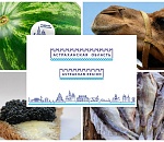 Под «Астраханским» только астраханское