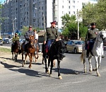 В Астрахани сотрудники ППС пересели на лошадей