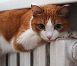 Треть домов левобережья Астрахани не готова к отопительному сезону