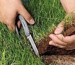 Риэлтор в Астрахани подозревается в крупной афере с земельными участками