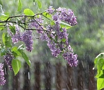 В мае в Астрахань придет лето, но с неприятными сюрпризами