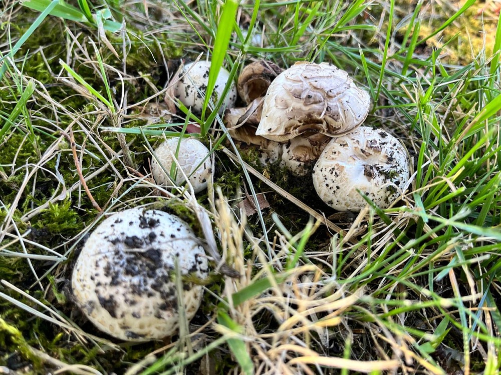 В субботу погода напомнит астраханцам об осени