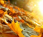 Пятница порадует астраханцев погодой 