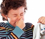 Астраханские пограничники задержали вонючие и токсичные игрушки