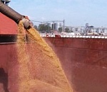 За январь на территории Астраханской области подготовили для отправки в Иран 135 тысяч тонн зерновых