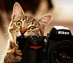 Астраханцы активно присылают работы на фотоконкурс ко Дню города