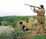 В помощь астраханским охотникам: виды ресурсов и сроки охоты на них