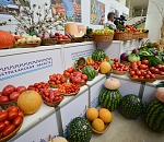 Астраханская область увеличит объемы производства сельхозпродукции