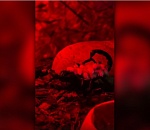 Опасный и самый незаметный обитатель астраханского зоопарка принесла потомство 