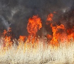 Крупный ландшафтный пожар в микрорайоне Бабаевского грозит заполнить гарью воздух над Астраханью и еще тремя районами