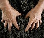 Астраханец "забрал" 15 муниципальных земельных участков