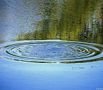 В Астраханской области ищут пропавшую 14-летнюю девочку