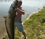 Мужчина поймал такого сома, что еле смог его сфотографировать