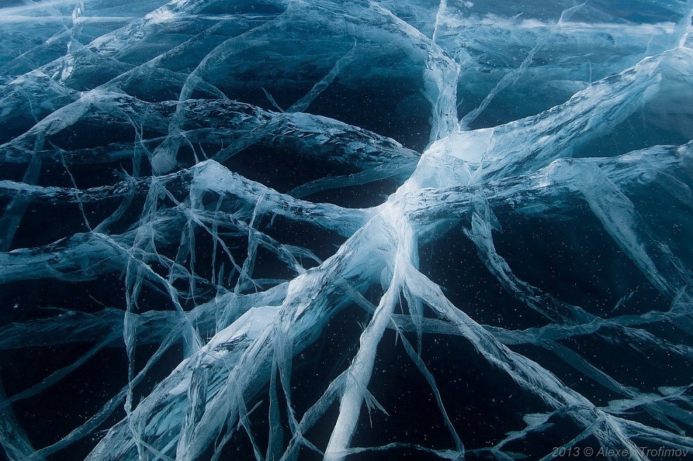 В Астрахани на Лебедином озере - тонкий лед 
