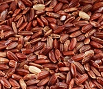 Пограничники не пропустили красный рис через астраханскую границу