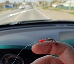 Астраханка поймала на крючок своего мужа. В прямом смысле