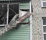 В Астрахани дерево рухнуло на балкон и разбило стекло