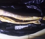 Астраханцу грозит срок за желание обменять осетра на алкоголь