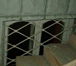 Астраханец организовал притон в Романтическом переулке, поселив проституток в подвале