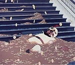 Минимальную зарплату дотянут до прожиточного минимума