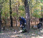 Сколько мусора собрали после отдыхающих на Городском острове в Астрахани