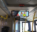 На экранах в астраханских автобусах начали транслировать афиши 