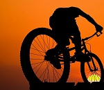 По дороге из Волгограда в Астрахань пропал велосипедист