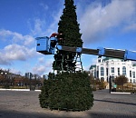 Где в Астрахани установят елки к Новому году?