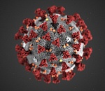 28 астраханцев заболели коронавирусом за прошедшие сутки