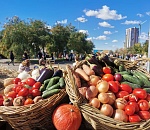 Астраханцы смогут закупиться продуктами по низким ценам
