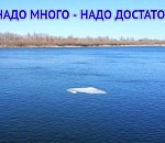 Нас точно не обделят? Весеннее половодье на Волге может оказаться не таким обильным, как обещали