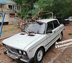 В Астрахани дерево упало на автомобиль