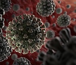 12 астраханцев умерли от коронавируса за сутки