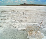 Астраханский туристический маршрут вышел в финал всероссийского конкурса